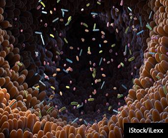 Intestinal bacteria 3D illustration.