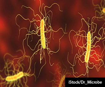 Clostridium difficile bacterium 3D image.