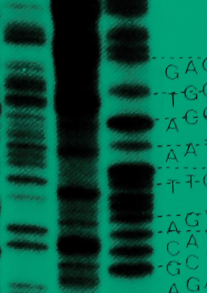 Microbial Genomics