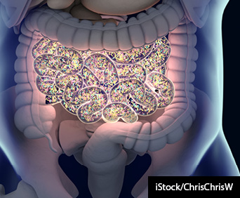 3D image of gut with microbiome.