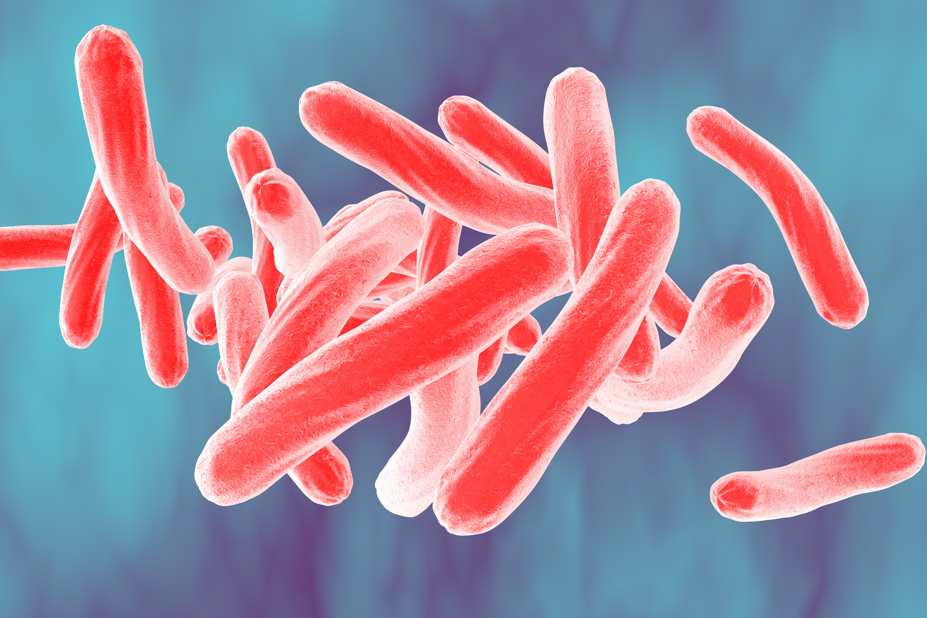 Mycobacterium tuberculosis